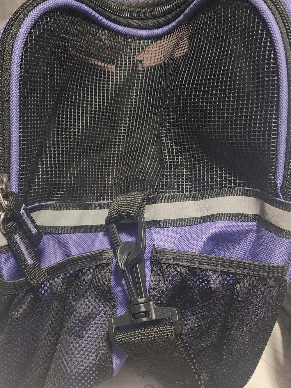 Purple Soft-Sided Pet Carrier - Portable Dog Carrier
